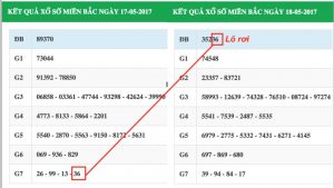 Cách bắt cầu lô miền Bắc dựa vào lô rơi