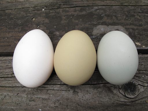 Cách xin số đề ông Địa phổ biến Cách xin số đề chuẩn cho các anh em nhanh chóng cập bờ