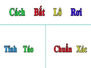 bat-lo-roi-chuan-xac