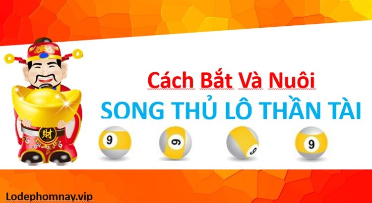Cách bắt và nuôi 3 ngày con song thủ lô Miền Bắc